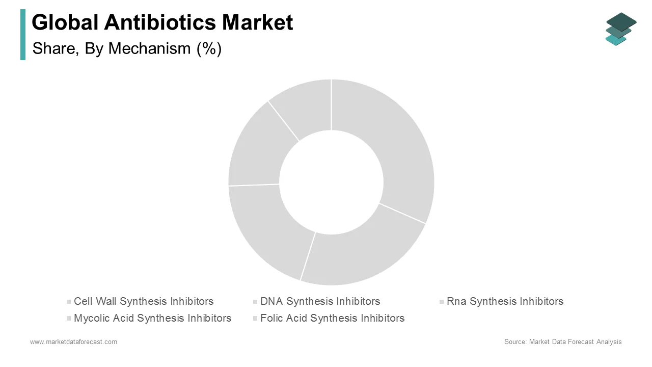 The cell wall synthesis inhibitors segment is expected to dominate the antibiotics market in 2024.