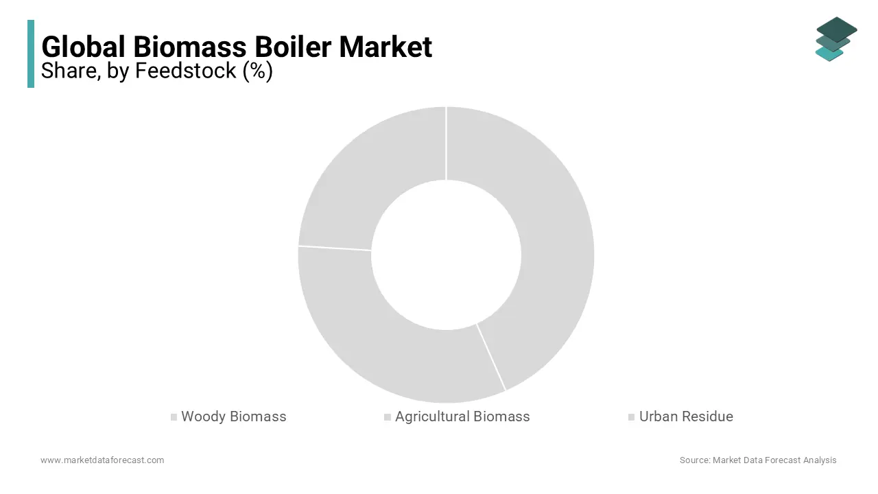 Woody biomass will dominate the biomass boiler market, driven by short-rotation crop usage.