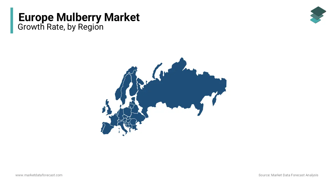 Germany had the leading share of the European mulberry market in 2023.