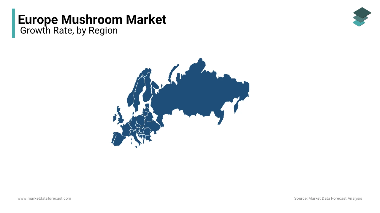 Germany leads the mushroom market in Europe currently.