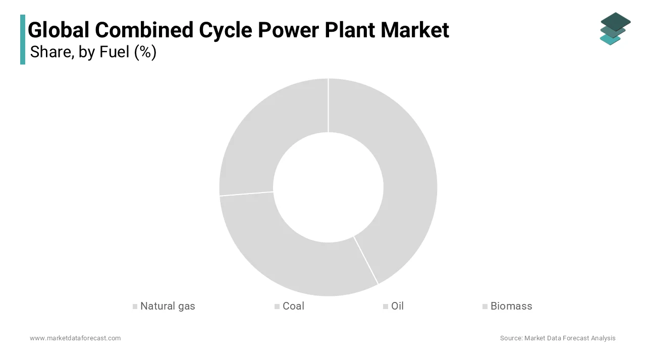 Natural gas dominates the market due to its abundance, wide availability, and reliability.