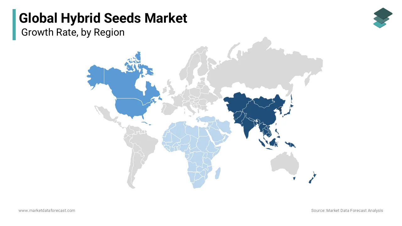 The Asia pacific region was dominating the global hybrid seeds market in 2023 and is likely continue to lead