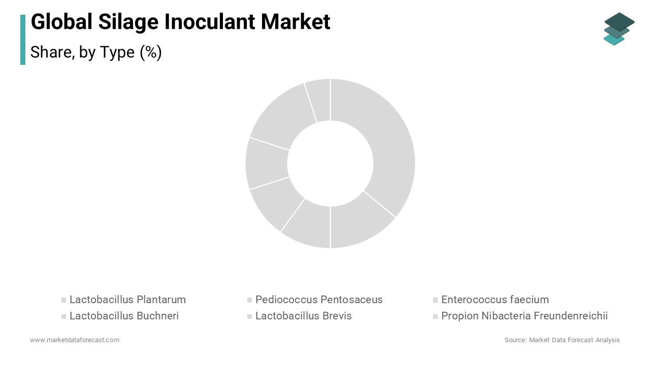 Studies have shown that inoculants containing Lactobacillus plantarum can improve dry matter retention by up to 10% of silage