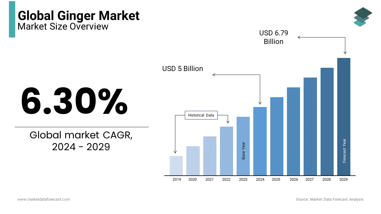 Freshly harvested ginger roots, showing healthy growth at a CAGR of 6.30% from 2024 to 2029